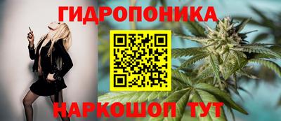 наркотики Будённовск