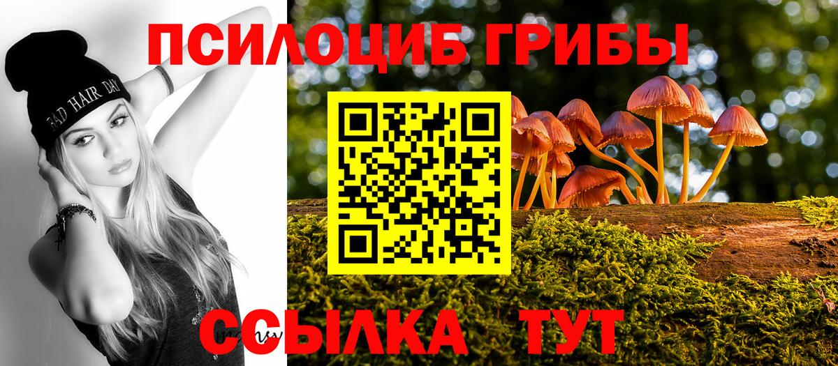 продажа наркотиков  Псилоцибиновые грибы Psilocybe  Вход с VPN  Муром 